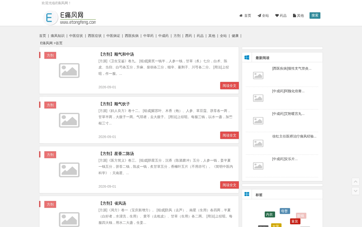 E痛风网 页面快照